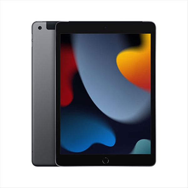 Apple iPad 10.2 (2021) 9.Gen Wi-Fi 64GB Space Gray 